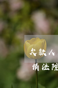 欠款人的工资法院可以冻结吗(债权人可以申请法院冻结债务人的工资吗)
