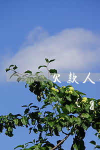 欠款人要求個(gè)性化分期(欠款人要求個(gè)性化分期)
