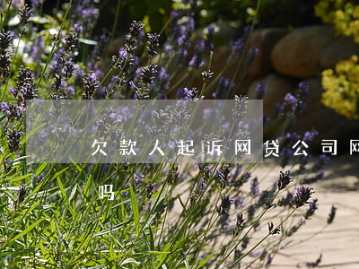 欠款人起诉网贷公司 网贷公司起诉法院受理吗