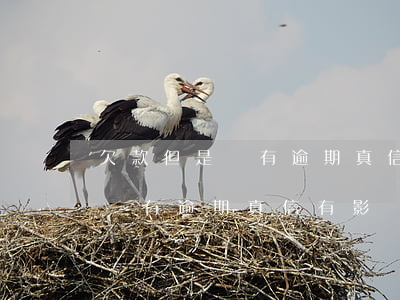 欠款但是沒有逾期真信有影響嗎-欠款但是沒有逾期真信有影響嗎怎么辦
