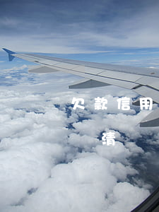 欠款信用卡30萬我該怎么辦（欠信用卡30萬清單）
