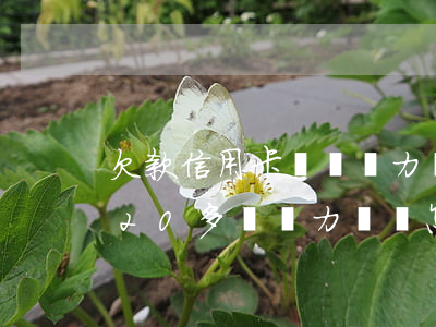 欠款信用卡兩萬無力償還怎么辦(信用卡欠款20多萬無力償還怎么辦)