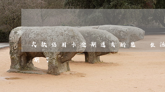 欠款信用卡逾期透支的悲慘生活(欠信用卡逾期了)