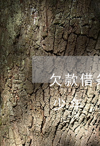 欠款借条有效期多长时间(欠款借条有效期多少年)