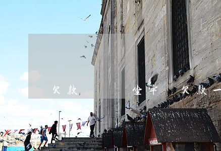 欠款兩萬會坐牢嗎(欠款一萬多能坐牢嗎)