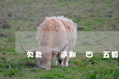 欠款兩萬逾期還四萬五算違規(guī)嗎