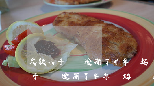 欠款八千塊錢逾期了半年會起訴嗎-欠款八千塊錢逾期了半年會起訴嗎知乎