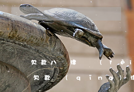 欠款八萬律師費(fèi)要多少錢(七萬元欠款請(qǐng)律師要多少錢)