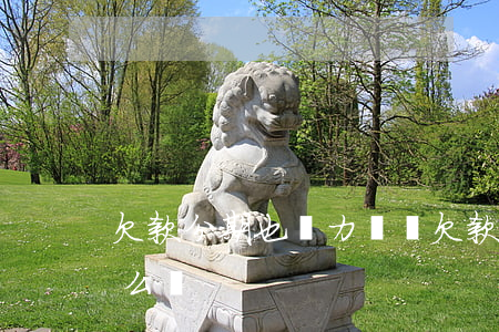 欠款分期也無力償還 欠款分期也無力償還怎么辦