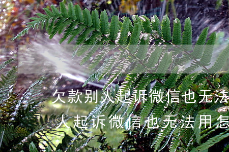 欠款别人起诉微信也无法用怎么办-欠款别人起诉微信也无法用怎么办呢