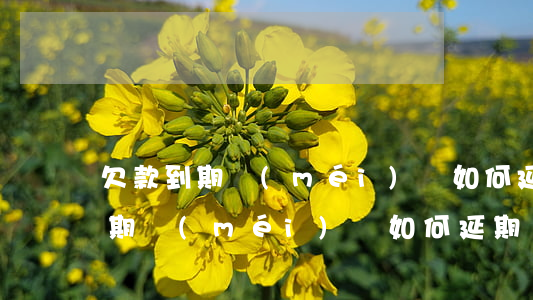 欠款到期沒(méi)還如何延期-欠款到期沒(méi)還如何延期還款