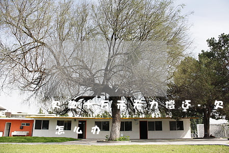 欠款十万元无力偿还-欠款10多万无力还怎么办