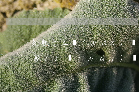 欠款十五萬(wàn)無(wú)力償還(欠款15萬(wàn)無(wú)力償還怎么辦)
