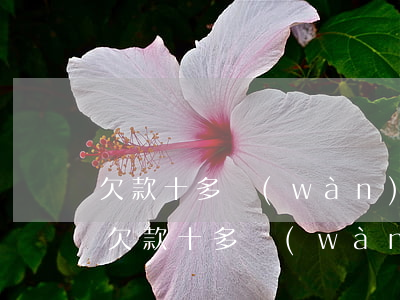 欠款十多萬(wàn)家里不知道怎么辦-欠款十多萬(wàn)家里不知道怎么辦呢