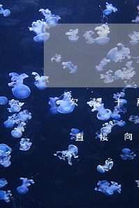 欠款十萬法院會怎么判決(欠款10萬以上能直接向中級人民法院起訴嗎)