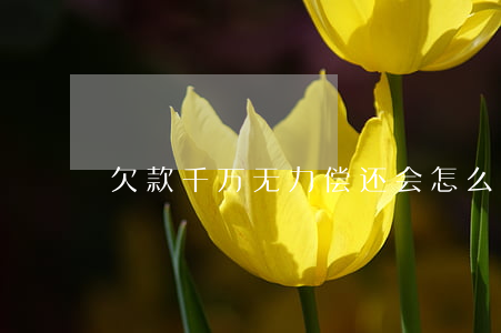 欠款千万无力偿还会怎么办