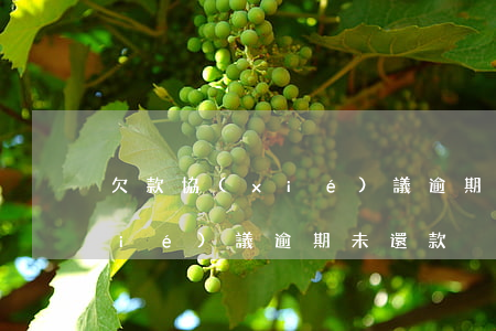 欠款協(xié)議逾期未還款(欠款協(xié)議逾期未還款)