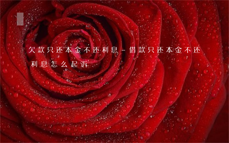 欠款只还本金不还利息-借款只还本金不还利息怎么起诉