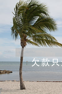 欠款只还本金吗(欠款只还本金吗)