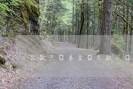 欠款只還本金嗎(欠款只還本金嗎)