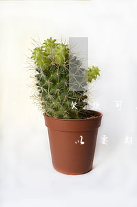 欠款可以要期間利息和逾期利息嗎-欠款可以要期間利息和逾期利息嗎怎么算