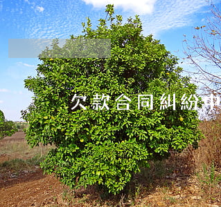 欠款合同糾紛中需要哪些證據(jù)