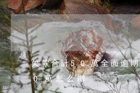 欠款合計50萬全面逾期走投無路-欠款50萬怎么辦