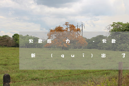 欠款后無力償還-欠款無力償還2021年新規(guī)出來了