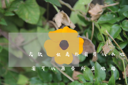 欠款單位是外省可以本地起訴嗎(欠款人在外省可以原告所在地起訴嗎)
