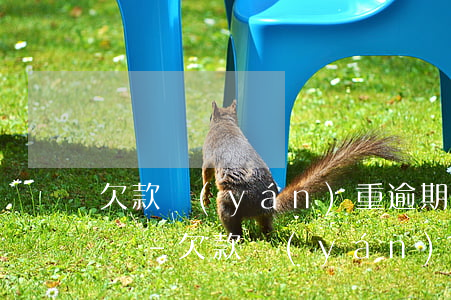 欠款嚴(yán)重逾期會(huì)怎么樣-欠款嚴(yán)重逾期會(huì)怎么樣嗎