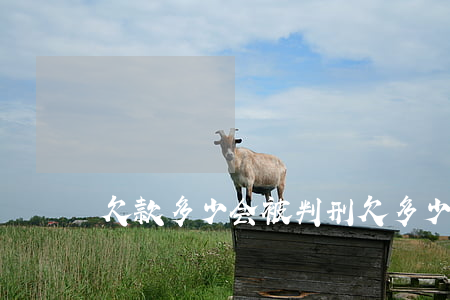欠款多少会被判刑(欠多少钱够判刑的)