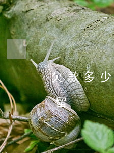 欠款多少會被起訴拘留 欠款金額多少會被拘留