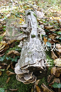 欠款太多在逾期前跑到國外可以嗎-欠款太多在逾期前跑到國外可以嗎知乎