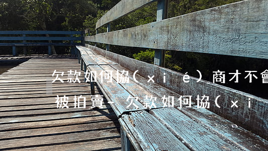 欠款如何協(xié)商才不會(huì)被拍賣-欠款如何協(xié)商才不會(huì)被拍賣房產(chǎn)