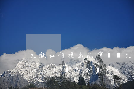 欠款如何提出法律訴訟(欠款法律訴訟書(shū)該怎么寫(xiě))