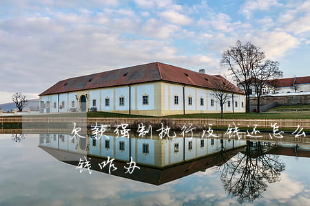 欠款强制执行没钱还怎么办(欠钱起诉执行没钱咋办)