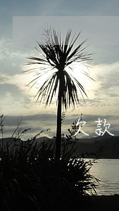 欠款怎么只償還本金(如何只還本金不還利息)