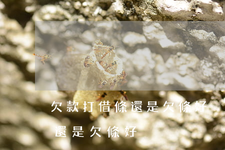 欠款打借條還是欠條好(別人欠錢是打借條好還是欠條好)