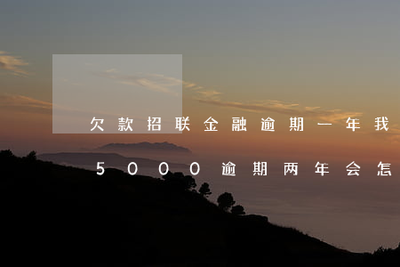 欠款招联金融逾期一年(我欠招联金融贷款15000逾期两年会怎么样)