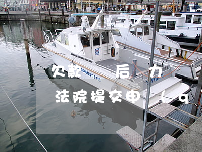 欠款敗訴后無力償還(敗訴后無力償還怎么向法院提交申請(qǐng))