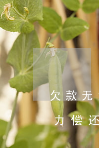 欠款无力偿还坐牢出来还要还钱吗-欠款无力偿还坐牢出来还要还钱吗怎么办