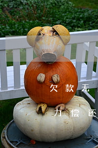 欠款无力偿还多久被法院强制执行-欠款无力偿还多久被法院强制执行了