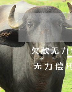 欠款无力偿还死亡会影响下一代吗-欠的钱无力偿还人死了家属还用还吗