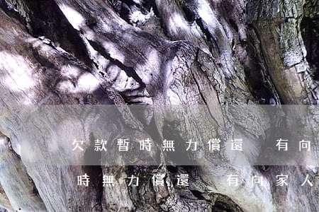欠款暫時無力償還,沒有向家人坦白-欠款暫時無力償還,沒有向家人坦白怎么辦