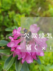 欠款條怎么寫(xiě)樣本(欠條落款怎么寫(xiě))