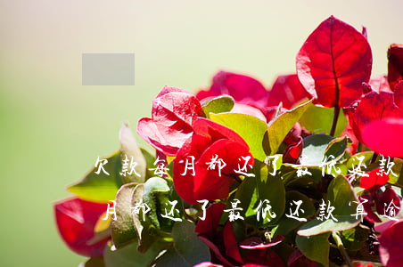 欠款每月都还了最低还款算逾期吗-欠款每月都还了最低还款算逾期吗怎么办