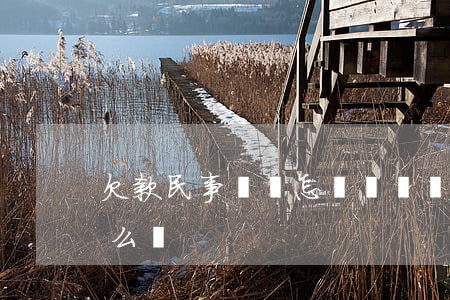 欠款民事訴訟怎樣寫訴狀(起訴欠款的訴狀怎么寫)