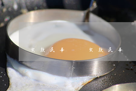 欠款民事訴訟(欠款民事訴訟)
