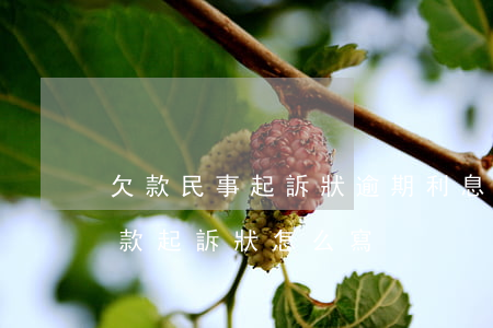 欠款民事起訴狀逾期利息怎么寫(最新法院欠款起訴狀怎么寫)