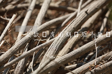 欠款沒有逾期過能不能買房按揭